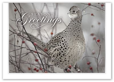 Feathered Friend Holiday Cards