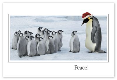 Ho, Ho, Ho, Little Penguin Holiday Card - Office and Business Supplies Online - Ipayo.com
