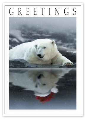 Polar Wishes Holiday Card - Office and Business Supplies Online - Ipayo.com