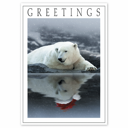 Polar Wishes Holiday Card - Office and Business Supplies Online - Ipayo.com