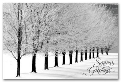 Snowy Arbor Avenue Holiday Postcards