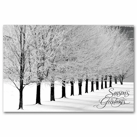 Snowy Arbor Avenue Christmas Postcards - Office and Business Supplies Online - Ipayo.com