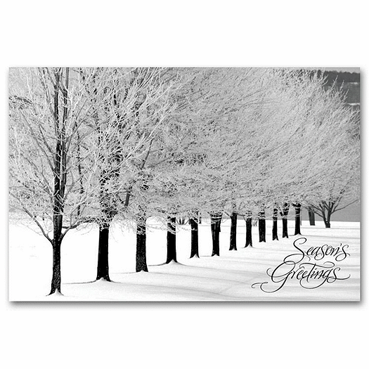 Snowy Arbor Avenue Holiday Postcards