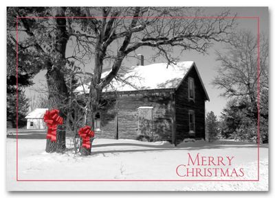 6 x 4 Barnyard Bows Christmas Postcards