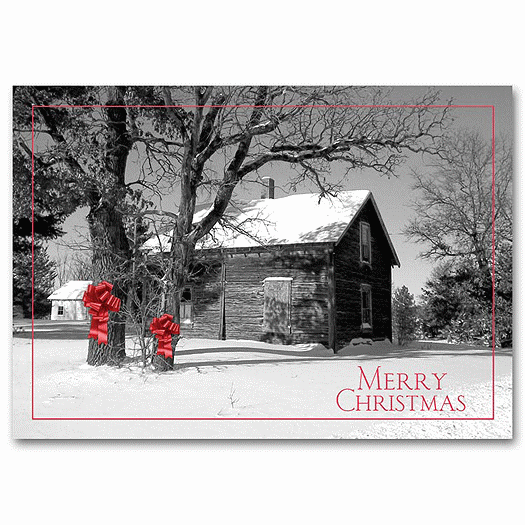 Barnyard Bows Holiday Postcard - Office and Business Supplies Online - Ipayo.com