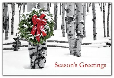 Birch Grove Holiday Postcards