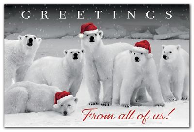 Polar Pack Holiday Postcards