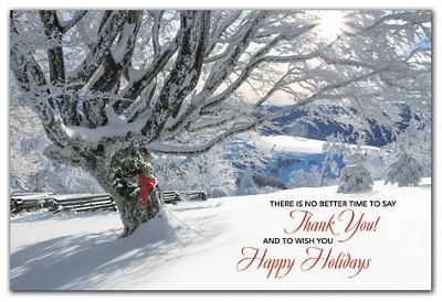 Striking Gratitude Holiday Postcards