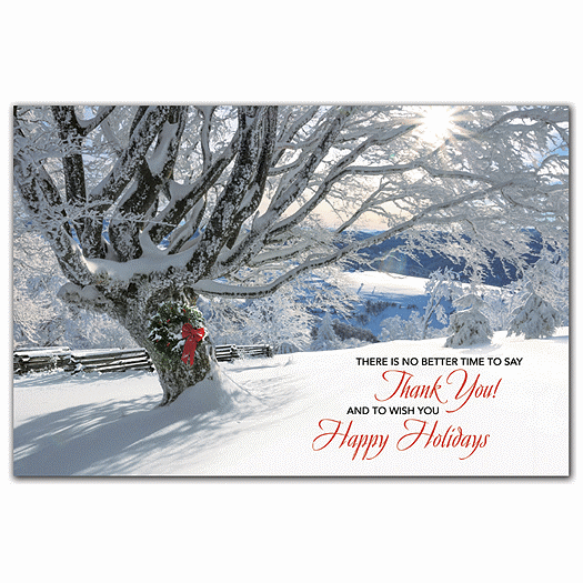 Striking Gratitude Holiday Postcards