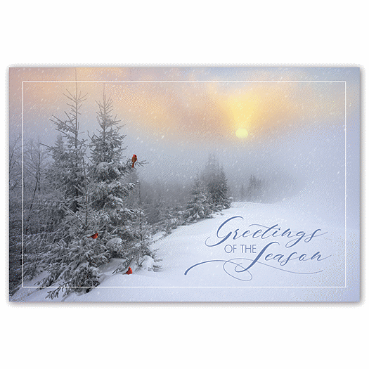 Fantastic Flurries Holiday Postcards