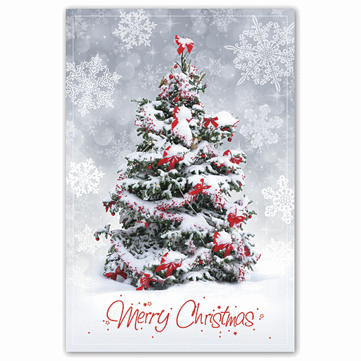 Christmas Surprise Christmas Postcards