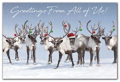 Antler Chandelier Holiday Postcards