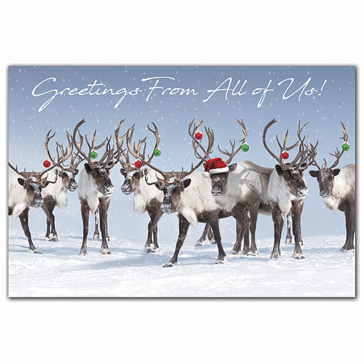 Antler Chandelier Holiday Postcards