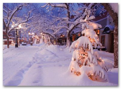After The Snowfall Holiday Card - Office and Business Supplies Online - Ipayo.com