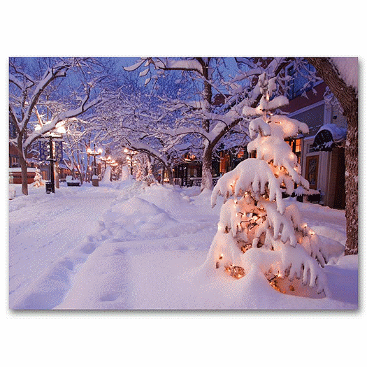 After The Snowfall Holiday Card - Office and Business Supplies Online - Ipayo.com