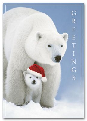 Santa Cub Holiday Card - Office and Business Supplies Online - Ipayo.com