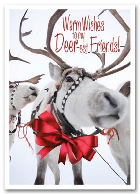 Sleigh Team Holiday Card - Office and Business Supplies Online - Ipayo.com