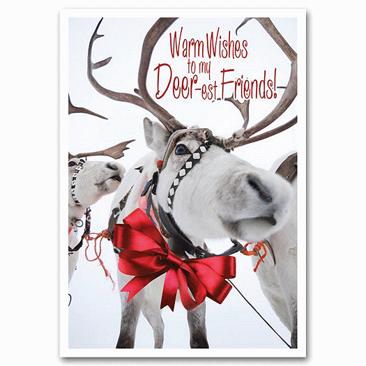 Sleigh Team Holiday Card - Office and Business Supplies Online - Ipayo.com