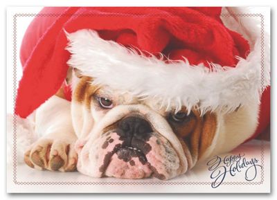 Holiday Pooch Card - Office and Business Supplies Online - Ipayo.com