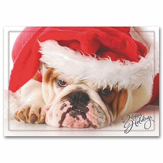 Holiday Pooch Card - Office and Business Supplies Online - Ipayo.com