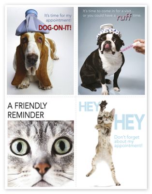 Veterinarian Reminder Card, Dogs & Cats Laser Postcard