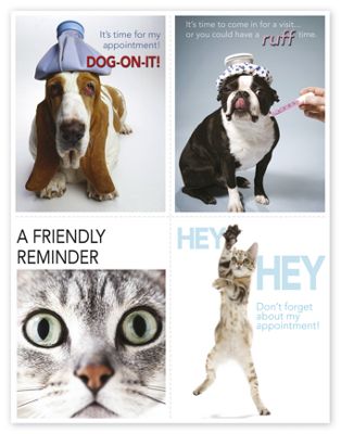Veterinarian Reminder Card, Dogs & Cats Laser Postcard - Office and Business Supplies Online - Ipayo.com