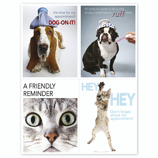 Veterinarian Reminder Card, Dogs & Cats Laser Postcard - Office and Business Supplies Online - Ipayo.com
