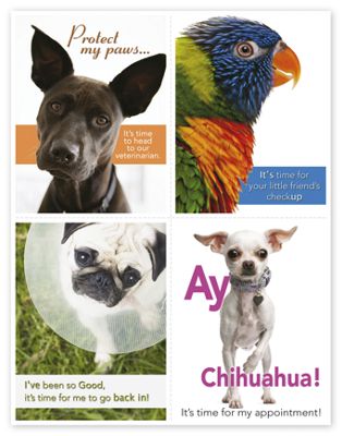 Veterinarian Reminder Card, Dogs & Birds Laser Postcard - Office and Business Supplies Online - Ipayo.com