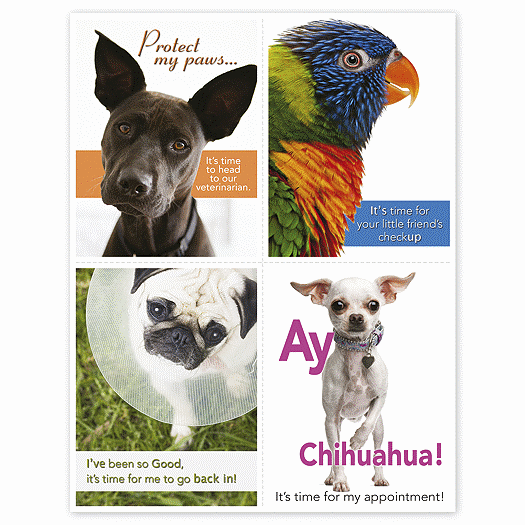 Veterinarian Reminder Card, Dogs & Birds Laser Postcard - Office and Business Supplies Online - Ipayo.com