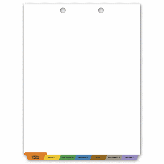 Chart Divider Kit - Office and Business Supplies Online - Ipayo.com