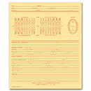 5 x 8 Dental Exam Record, Numbered Teeth System C, Folder Style