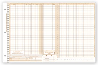 11 x 17 Daily Control Sheets, Pegmaster, Payment
