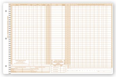 Daily Control Sheets, Pegmaster, Payment