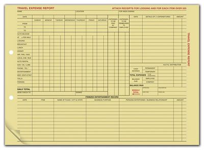 Travel Expense Report