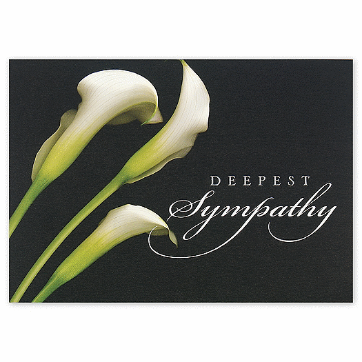The Beauty of Lilies Sympathy Cards
