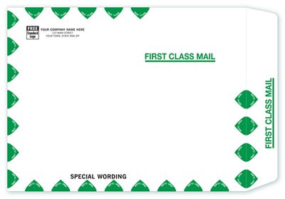 Tyvek First Class Mailing Envelope TF1013