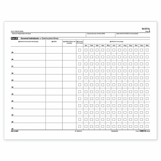 2020 Laser 1095B ACA IRS Copy Continuation Sheet TF5095N