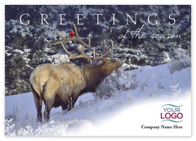 7 7/8 x 5 5/8 Big Horn Greetings Holiday Logo Cards
