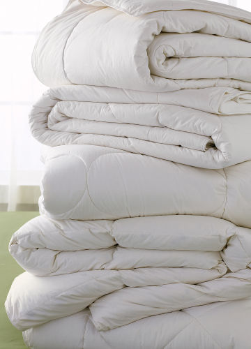  Organic CleanDown Standard Weight Comforter 
