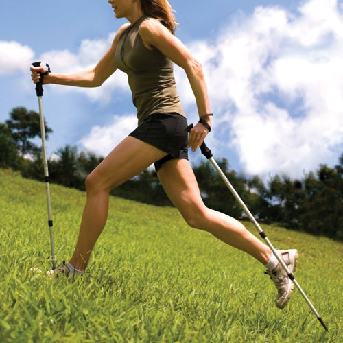 Walking Poles Kit