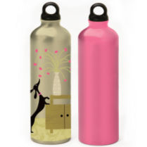 Gaiam aluminum water bottle