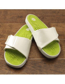 Reflexology Wellness Slide