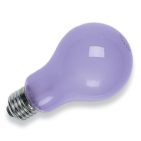 60 Watt Natural Spectrum® Bulbs
