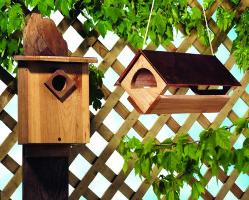 Bluebird House