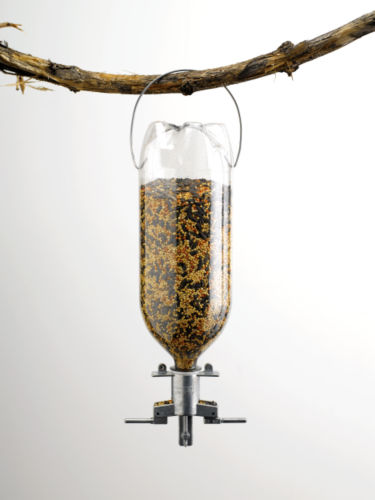 Homemade Bird Feeders