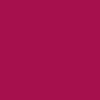 china pink tulip