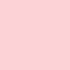 pink jewel carnation