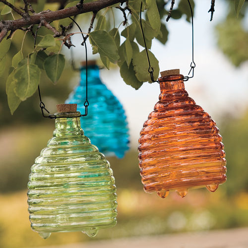 Recycled Glass Wasp Catcher