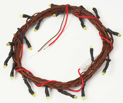 12-Volt LED Holiday Lights