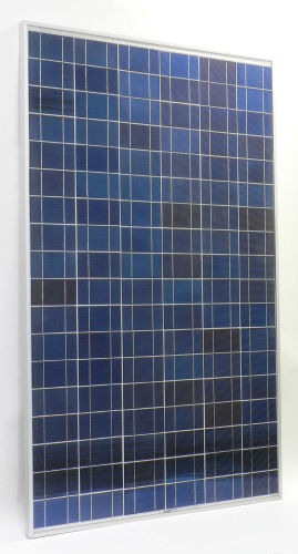 Evergreen 170 Watt Spruce Series Solar PV Module